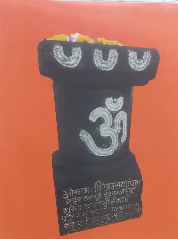 Sampurn Sulabh Dnyaneshwari